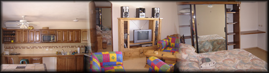 Properties for Rent