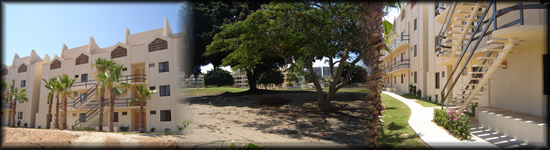 Properties for Rent