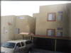 properties for rent los cabos